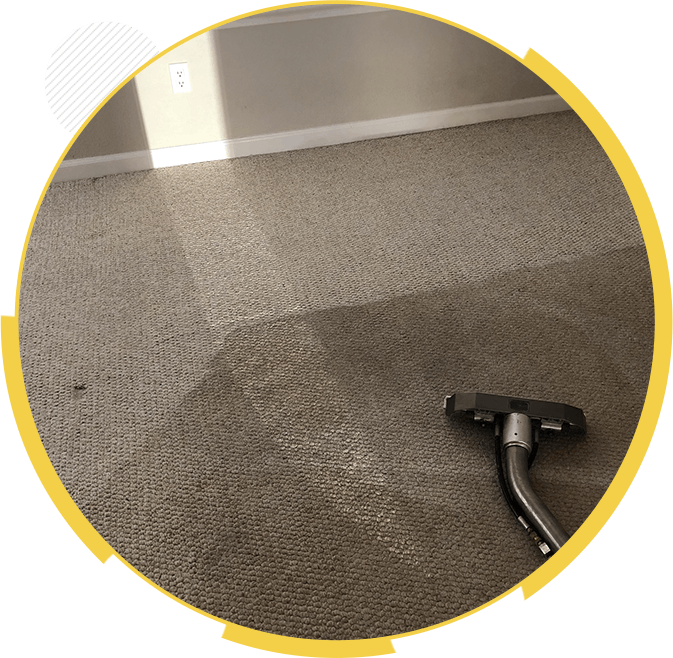 Choice Carpet Cleaning