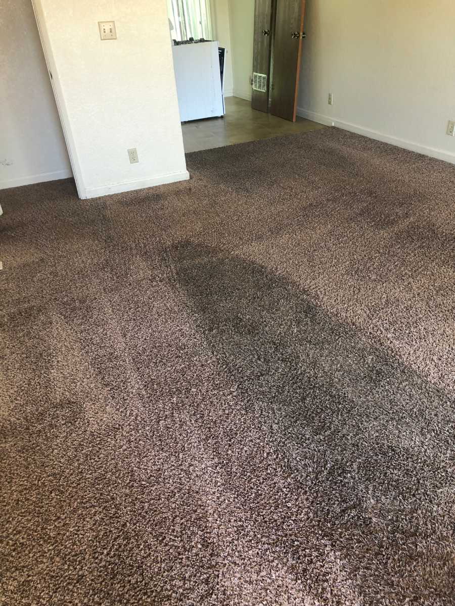 Choice Carpet Cleaning