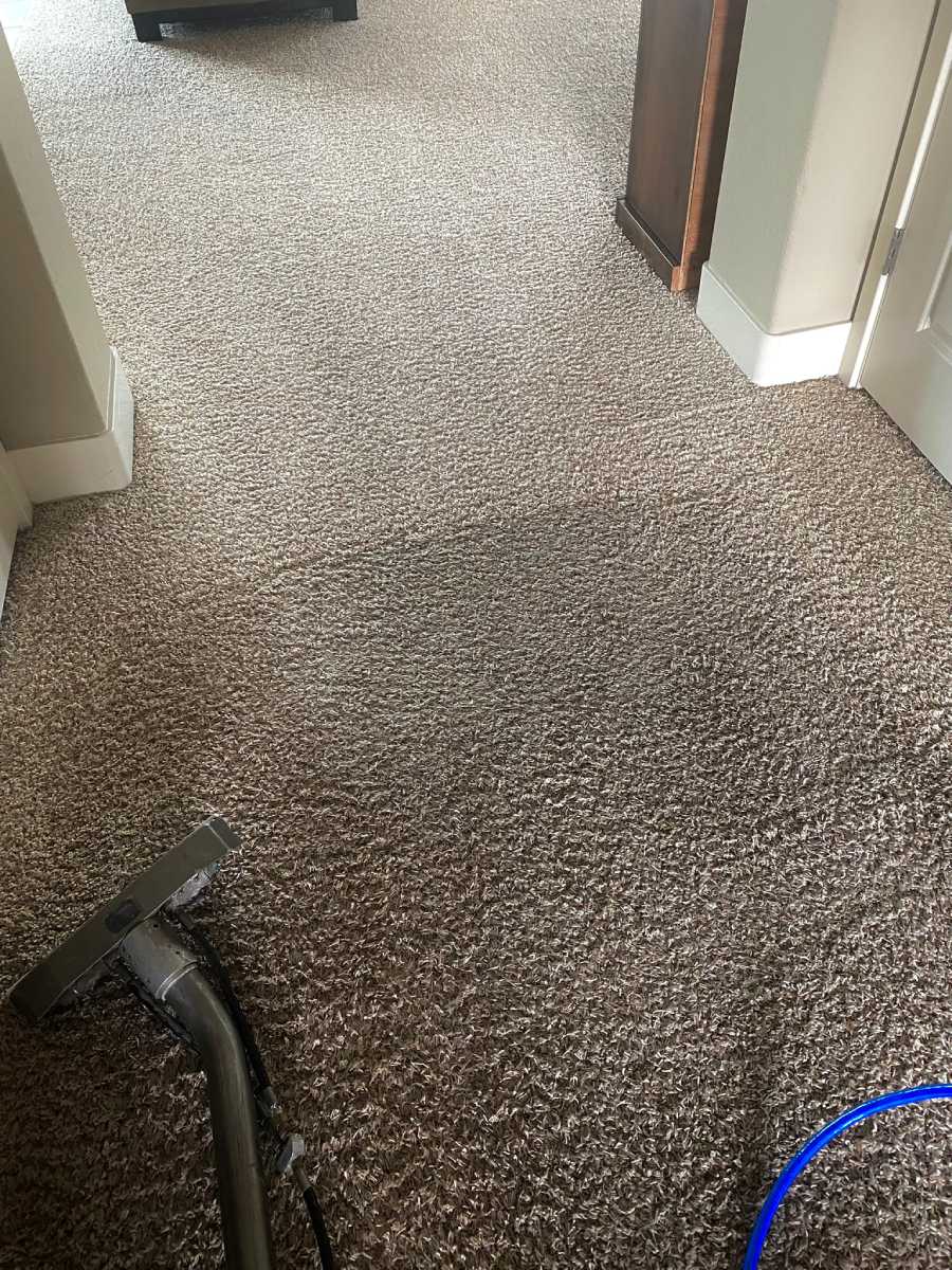 Choice Carpet Cleaning