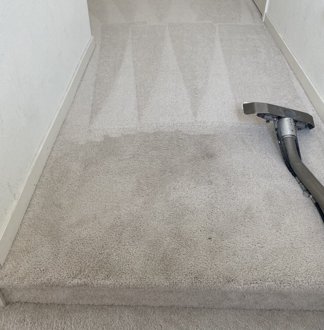 Choice Carpet Cleaning.